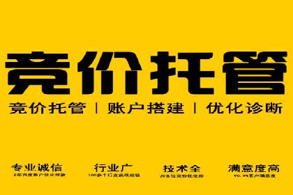 成功企业案例：竞价SEM托管助力市场扩张
